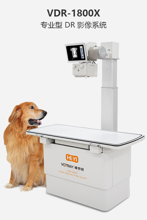 專業(yè)型DR影(yǐng)像系統