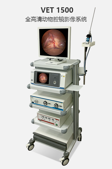 全高(gāo)清動物(wù)腔鏡影(yǐng)像系統