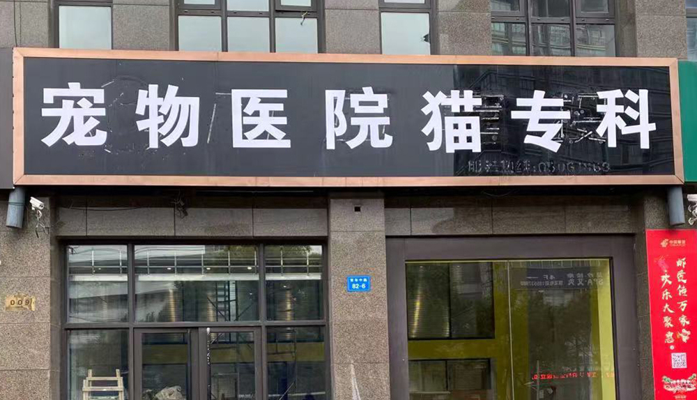 南(nán)通(tōng)崇川區(qū)貓專科(kē)