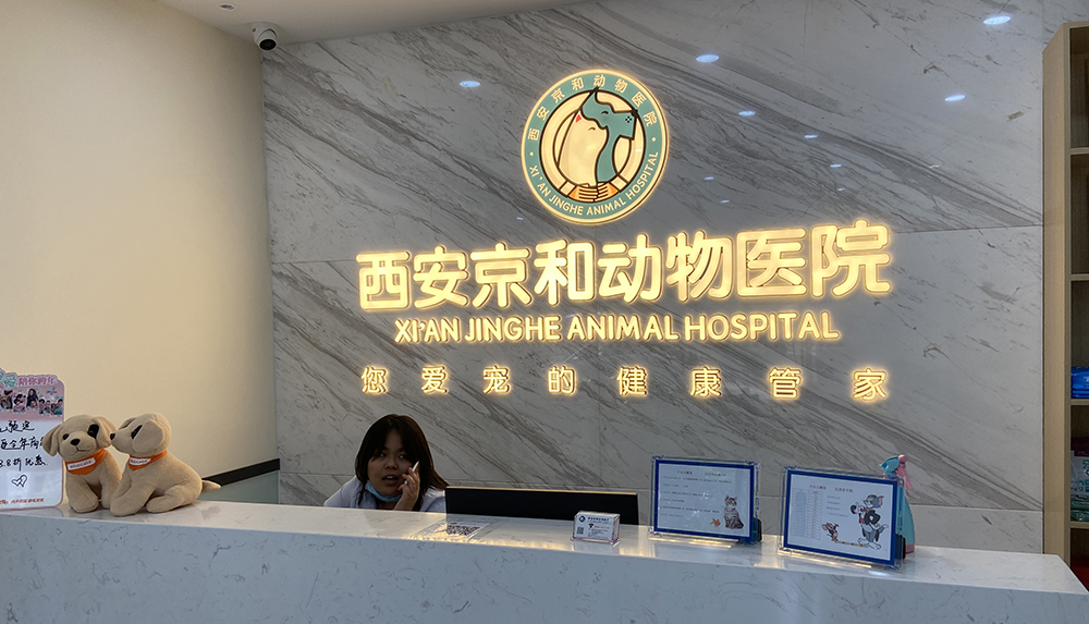 陝西(xī)西(xī)安京寶動物(wù)醫(yī)院