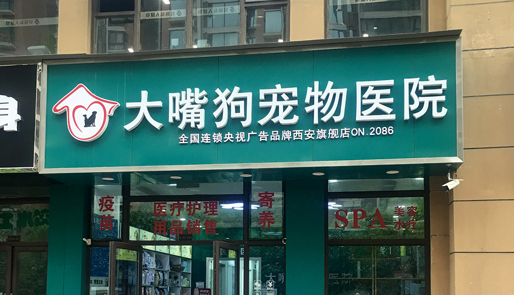 陝西(xī)西(xī)安大(dà)嘴狗寵物(wù)醫(yī)院