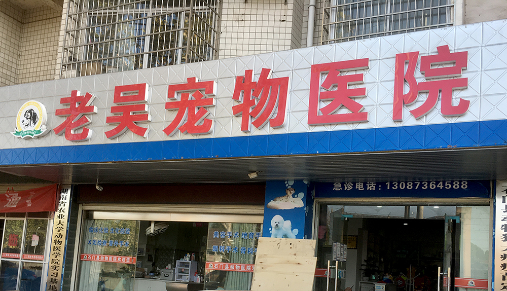 湖(hú)南(nán)常德老(lǎo)吳寵物(wù)醫(yī)院