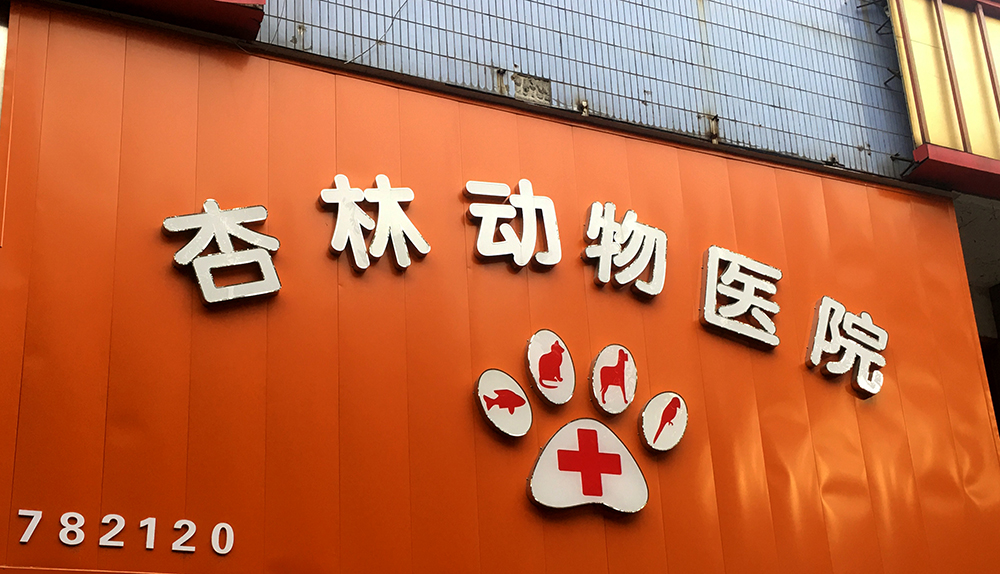 湖(hú)南(nán)常德杏林(lín)動物(wù)醫(yī)院