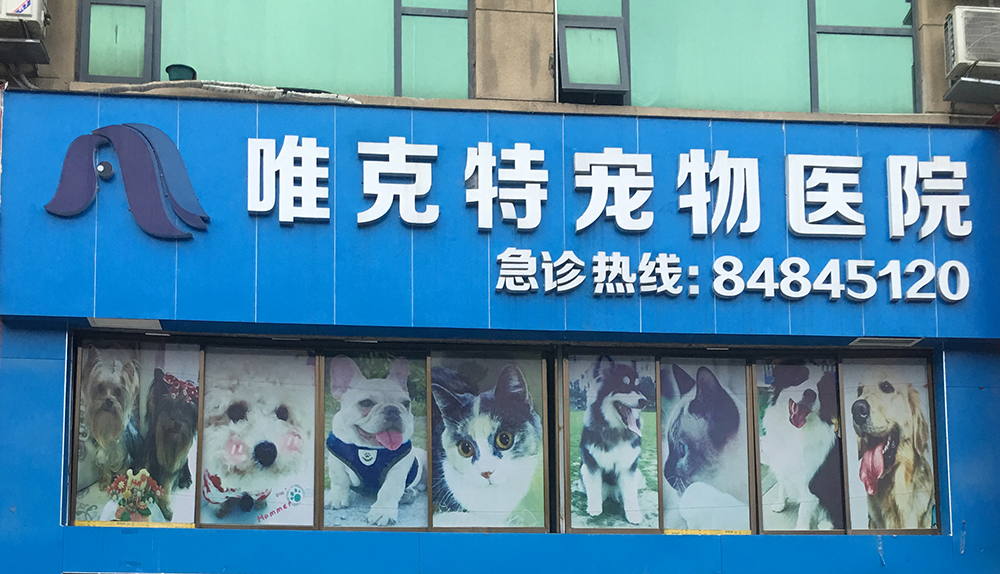 貴州貴陽唯克特寵物(wù)醫(yī)院金(jīn)陽分(fēn)院