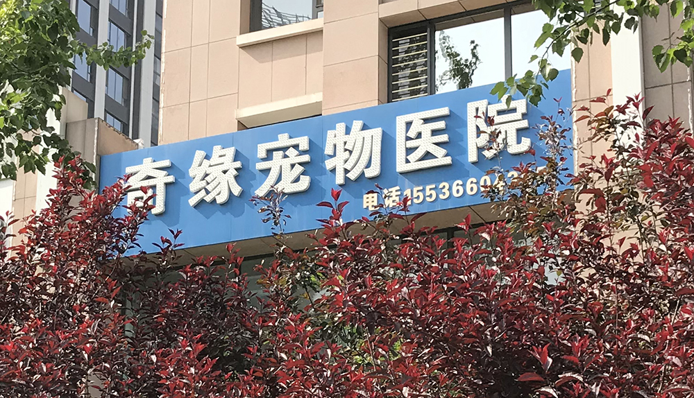 山(shān)西(xī)太原奇緣寵物(wù)醫(yī)院