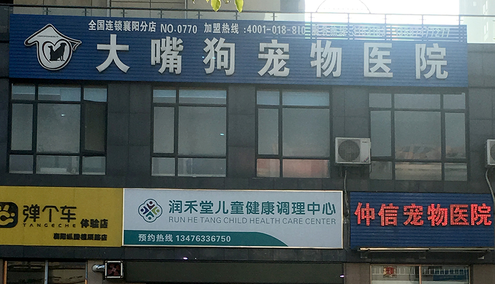 湖(hú)北(běi)襄陽大(dà)嘴狗寵物(wù)醫(yī)院