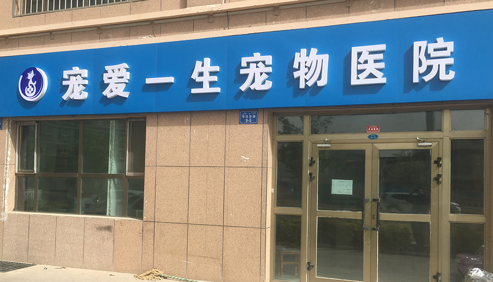 新疆庫爾勒寵愛(ài)一(yī)生(shēng)寵物(wù)醫(yī)院
