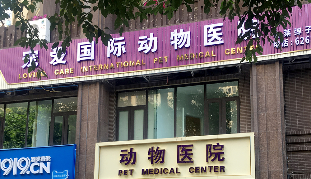 寵愛(ài)國(guó)際動物(wù)醫(yī)院重慶彈子(zǐ)石分(fēn)院