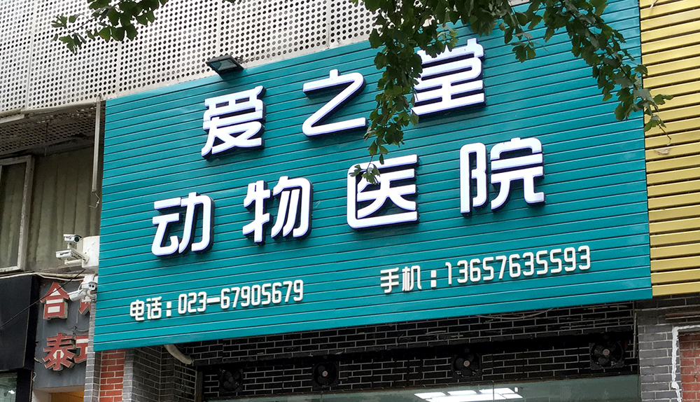 重慶愛(ài)之堂動物(wù)醫(yī)院