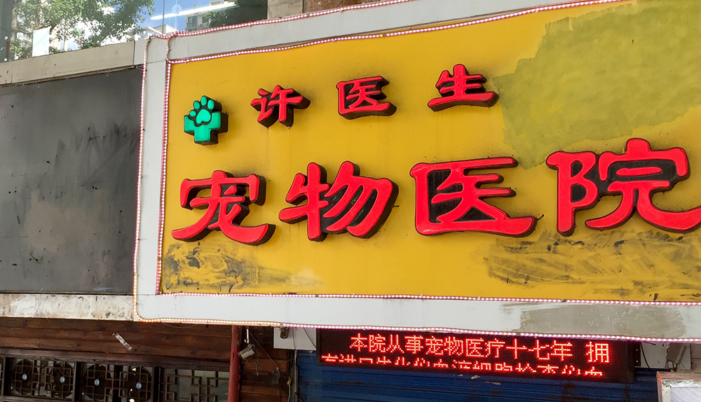 重慶許醫(yī)生(shēng)動物(wù)醫(yī)院