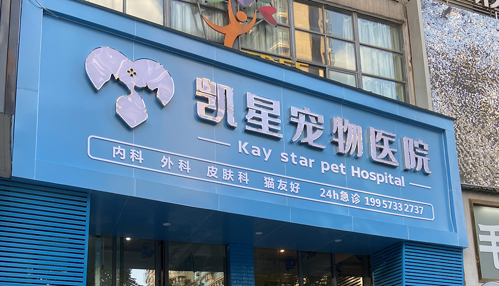 海(hǎi)甯凱星寵物(wù)醫(yī)院