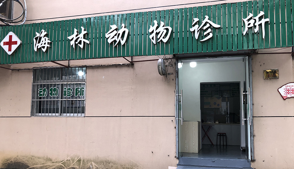 桐廬海(hǎi)林(lín)動物(wù)診所
