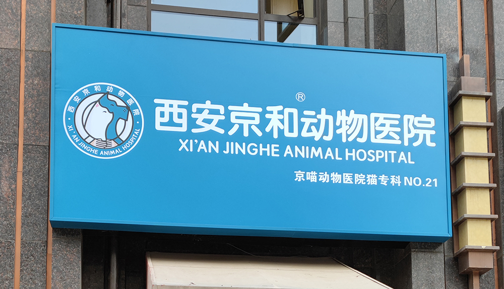 陝西(xī)西(xī)安京喵動物(wù)醫(yī)院