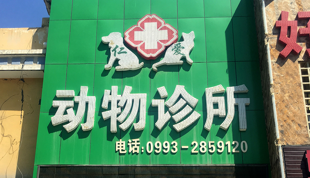 新疆石河(hé)子(zǐ)仁愛(ài)動物(wù)診所