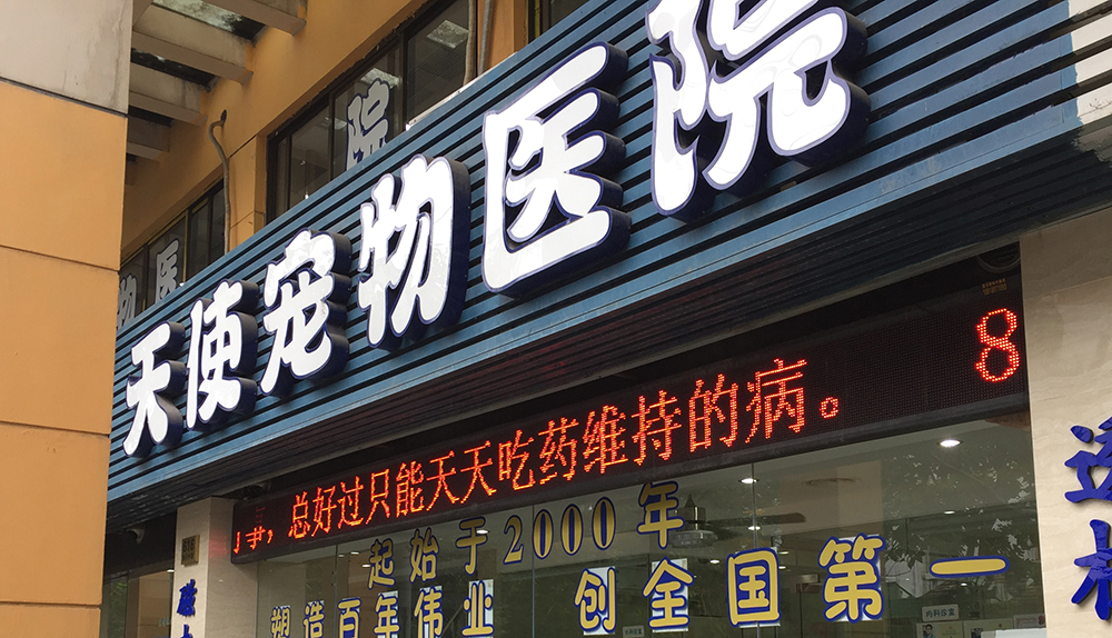 上(shàng)海(hǎi)天使寵物(wù)醫(yī)院